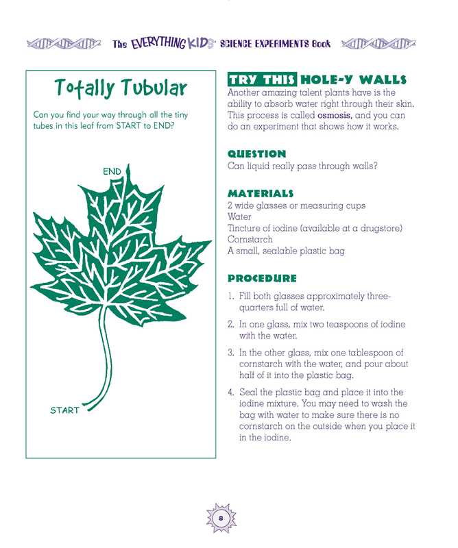 Simon & Schuster - Wholesale Science & Math - Everything Kids' Science Experiments Book by Tom Robinson3