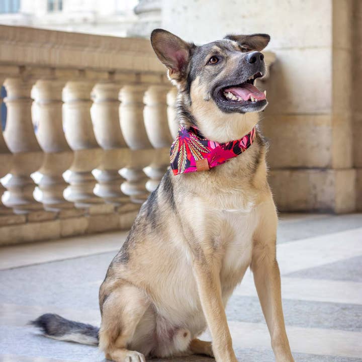 Atelier Markiz - Wholesale Hondenbandana - Hond - Java-bandana