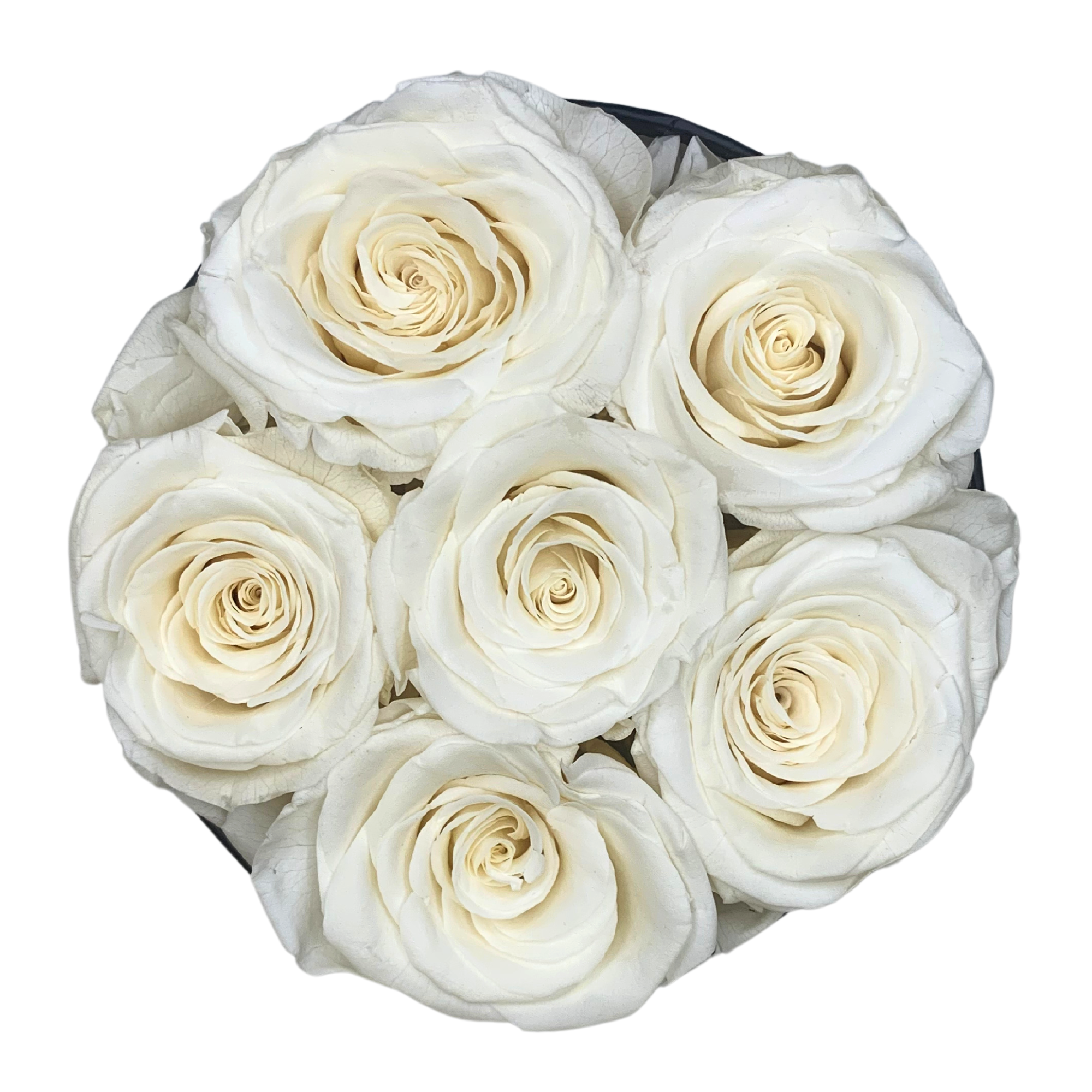 verona home and gift - Wholesale Dried/Pressed Flowers - Real Preserved Roses that Last Forever 15