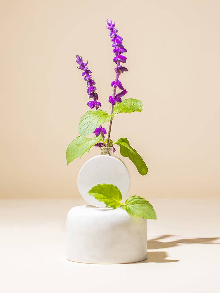 patchouli essential oil for wholesale by makesy