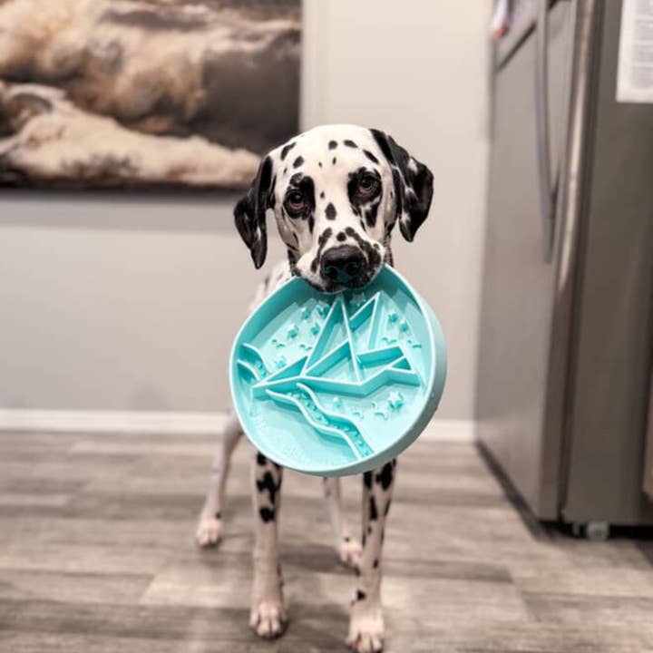 Barks and Brownies - Wholesale Pet Bowl - Cat/Dog - Signature Origami Slow Feeder Blue4