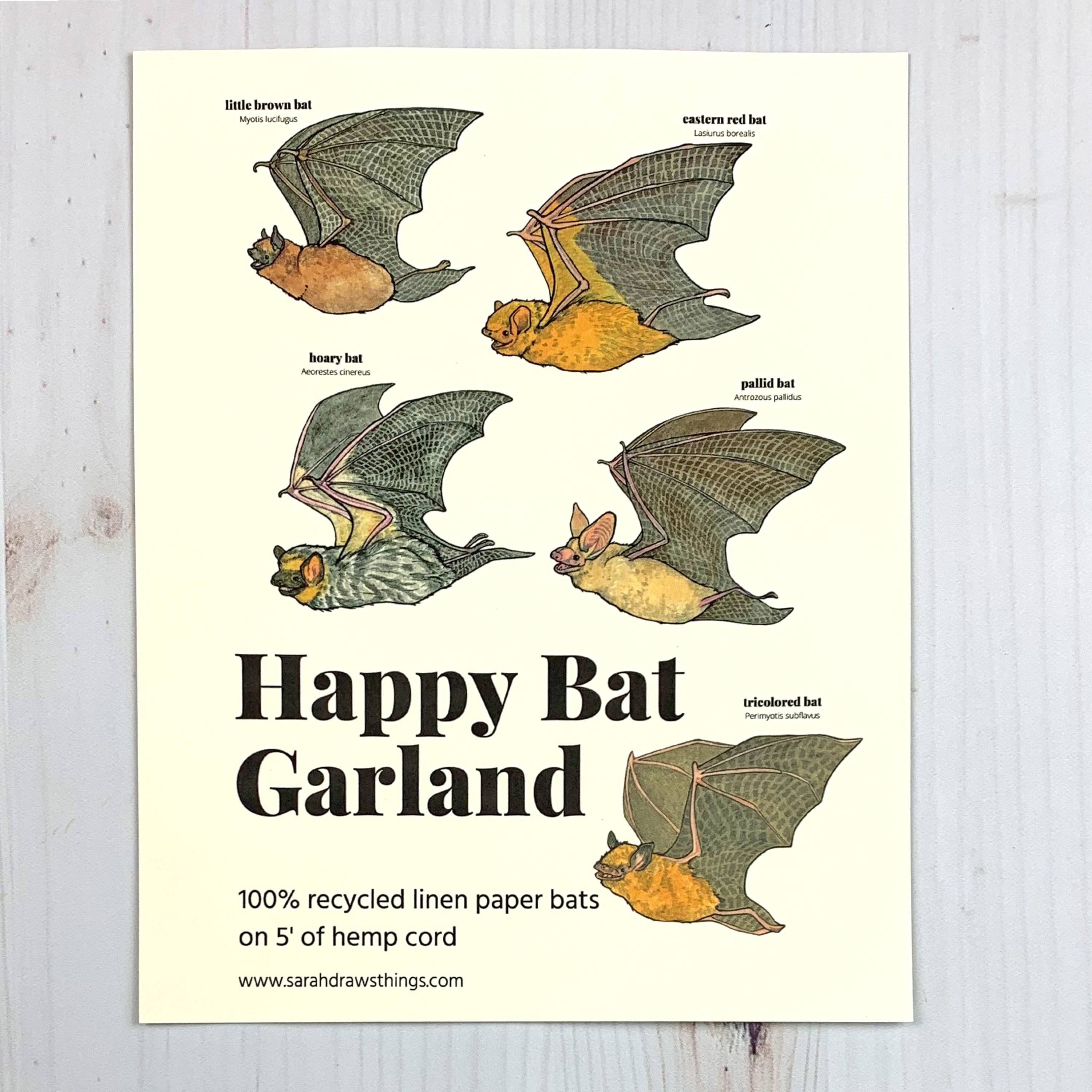 Sarah Draws Things - Wholesale Bunting/Garland - Happy Bat Illustrated Garland2