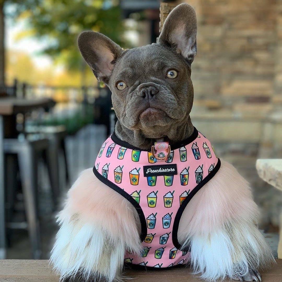 Frenchiestore - Wholesale Pet Harness - Dog - Dog Pet Reversible Health Harness | Pink StarPup8