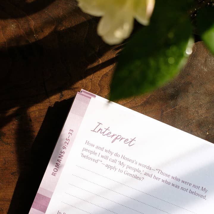 Barbour Publishing, Inc. - Wholesale Religion Book - Romans: An All-in-One Study on Salvation and New Life8