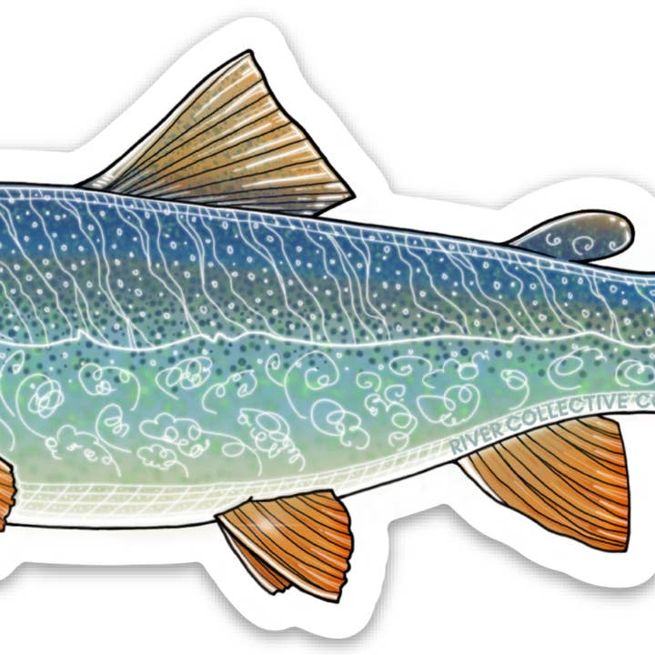 LAKE TROUT DECAL for wholesale by River Collective Co.