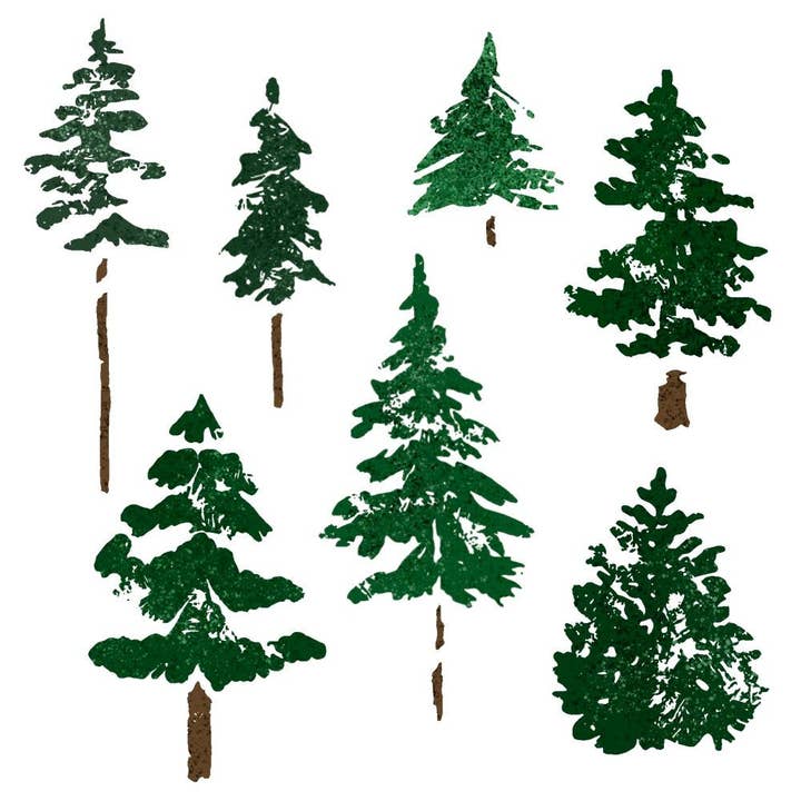 Acquerelli Pini - Set di Timbri in Fotopolimero 5x6 per la vendita all'ingrosso da parte di Honey Bee Stamps