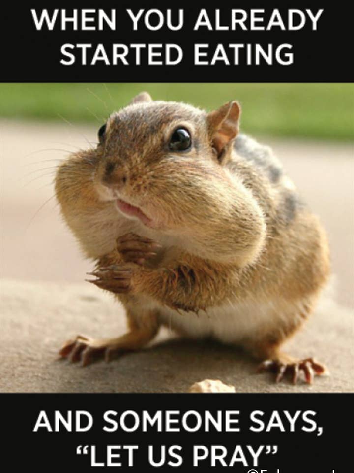 Magnet: When you already started eating for wholesale by Ephemera