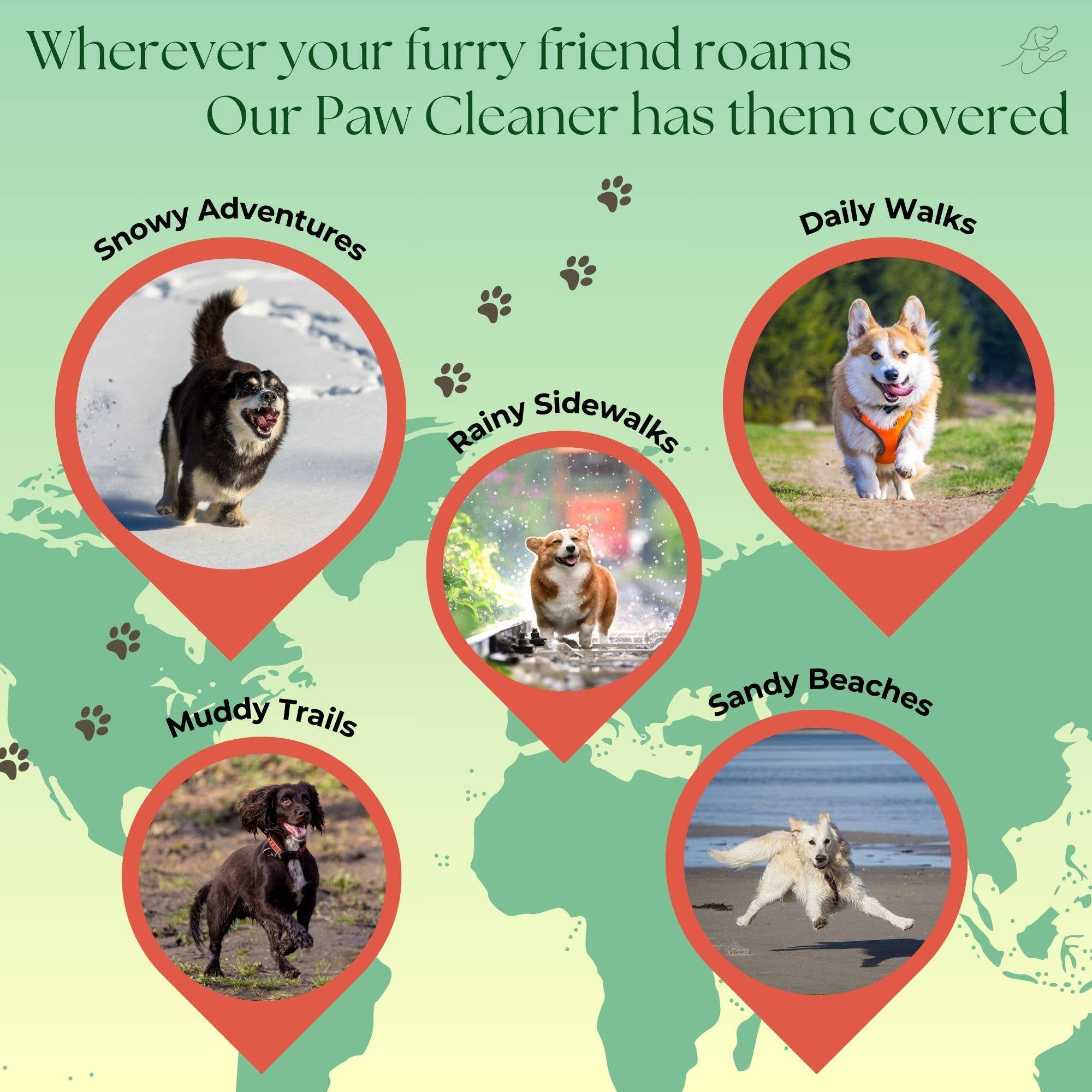 Furray - Wholesale Pet Cleaning Supplies - The Pawfect Paw Cleaner for Dogs & Cats (150ml/5oz)4