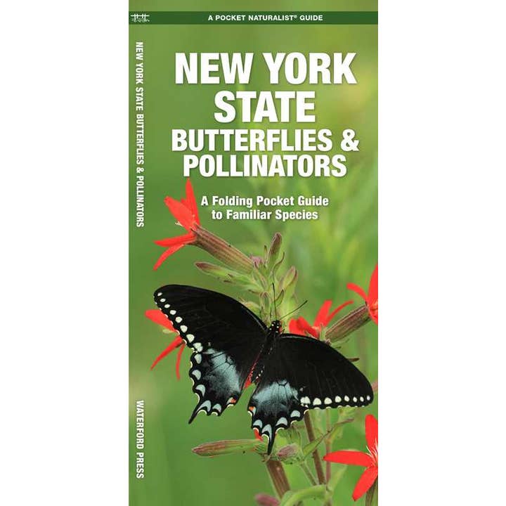 New York State Butterflies & Pollinators by James Kavanagh for wholesale by Simon & Schuster