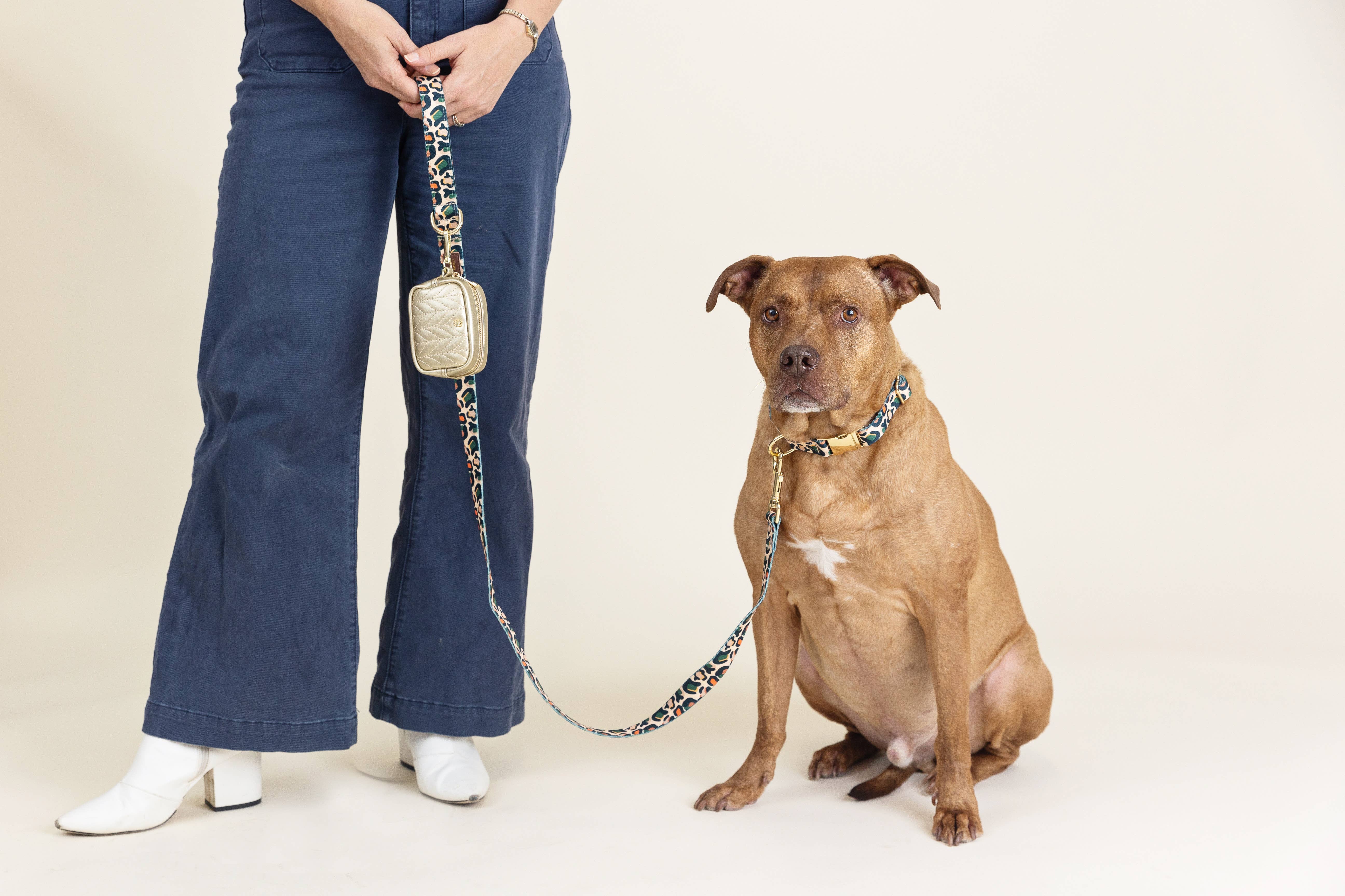 Pink Papyrus | Premium, Durable, & Stylish Dog Products - Wholesale Pet Collar - Dog - Beckett Dog Collar | Leopard Print Dog Collar | Dog Collar6