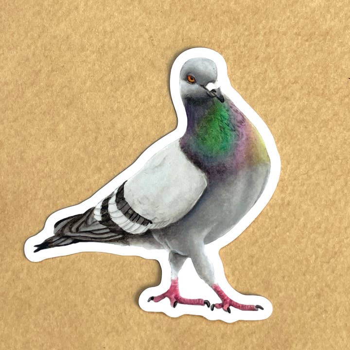 Pigeon Strut - Vinyl STICKER   for wholesale by Amy Rose Moore Illustration