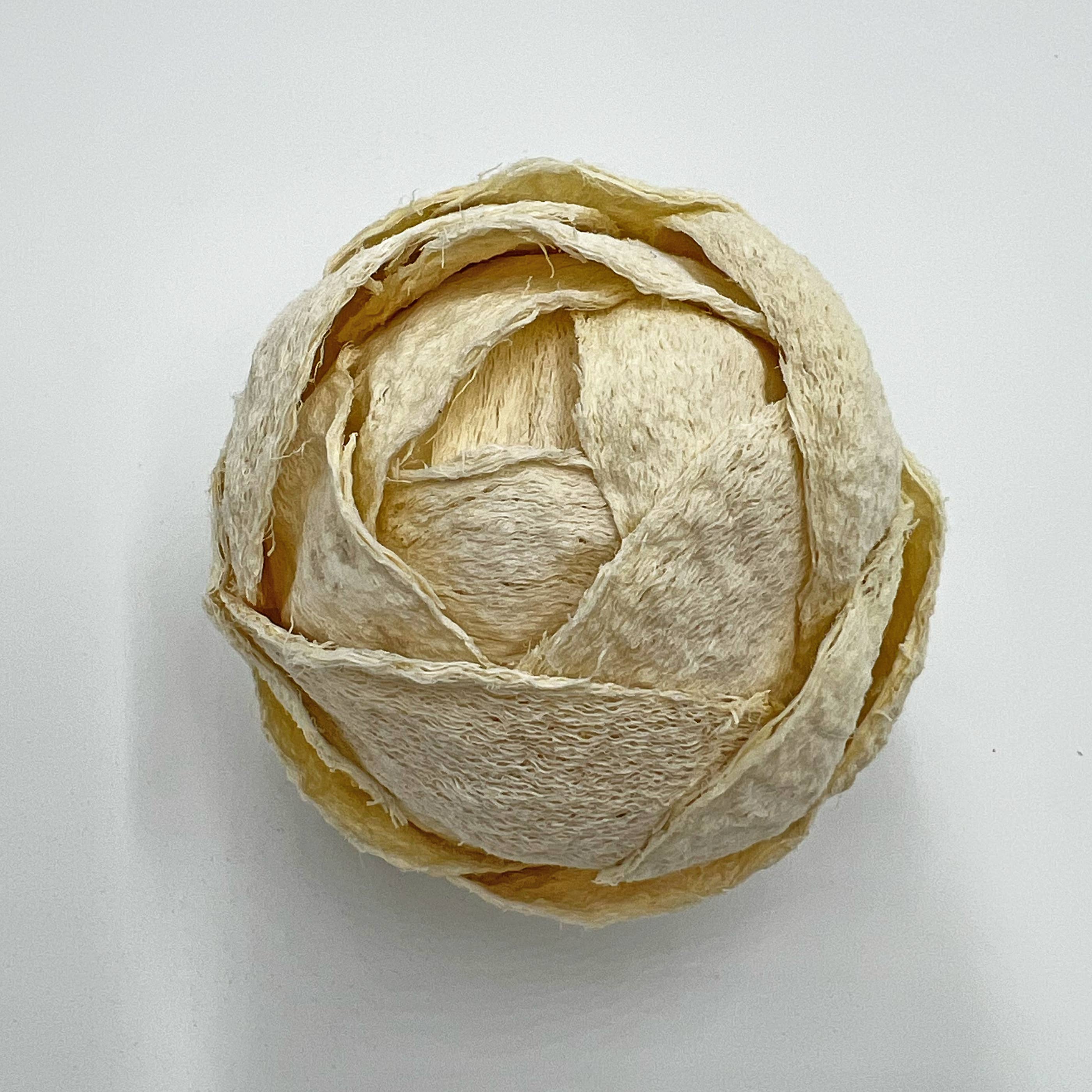 2626 Designs – wholesale Konstgjord växt – Låda med 4 konserverade dekorativa barrträd Pinecone Topiary Bollar8