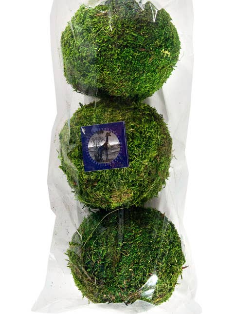 Moss Balls 4in 3-Pack for wholesale by SuperMoss