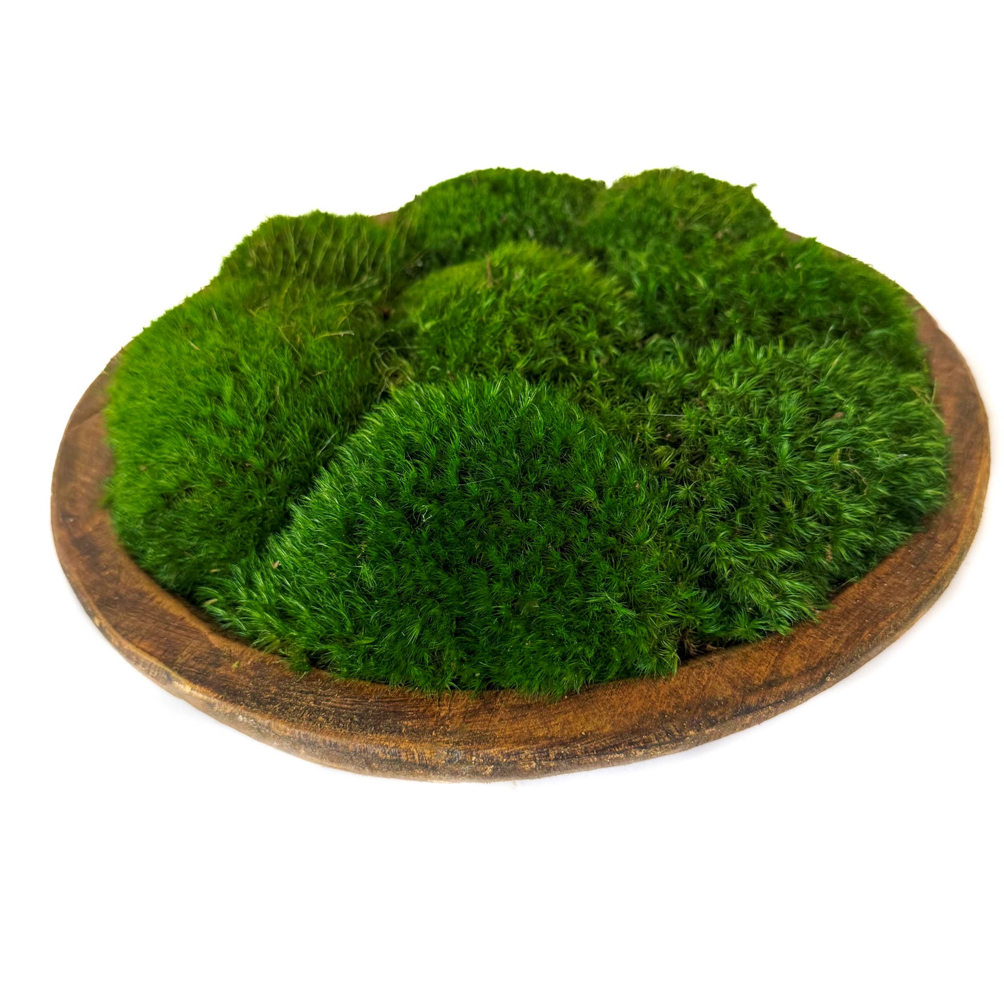 Forever Green Art - Vente Assiettes/plats/bols de décoration - Bol en bois rustique avec mousse d'humeur préservée3