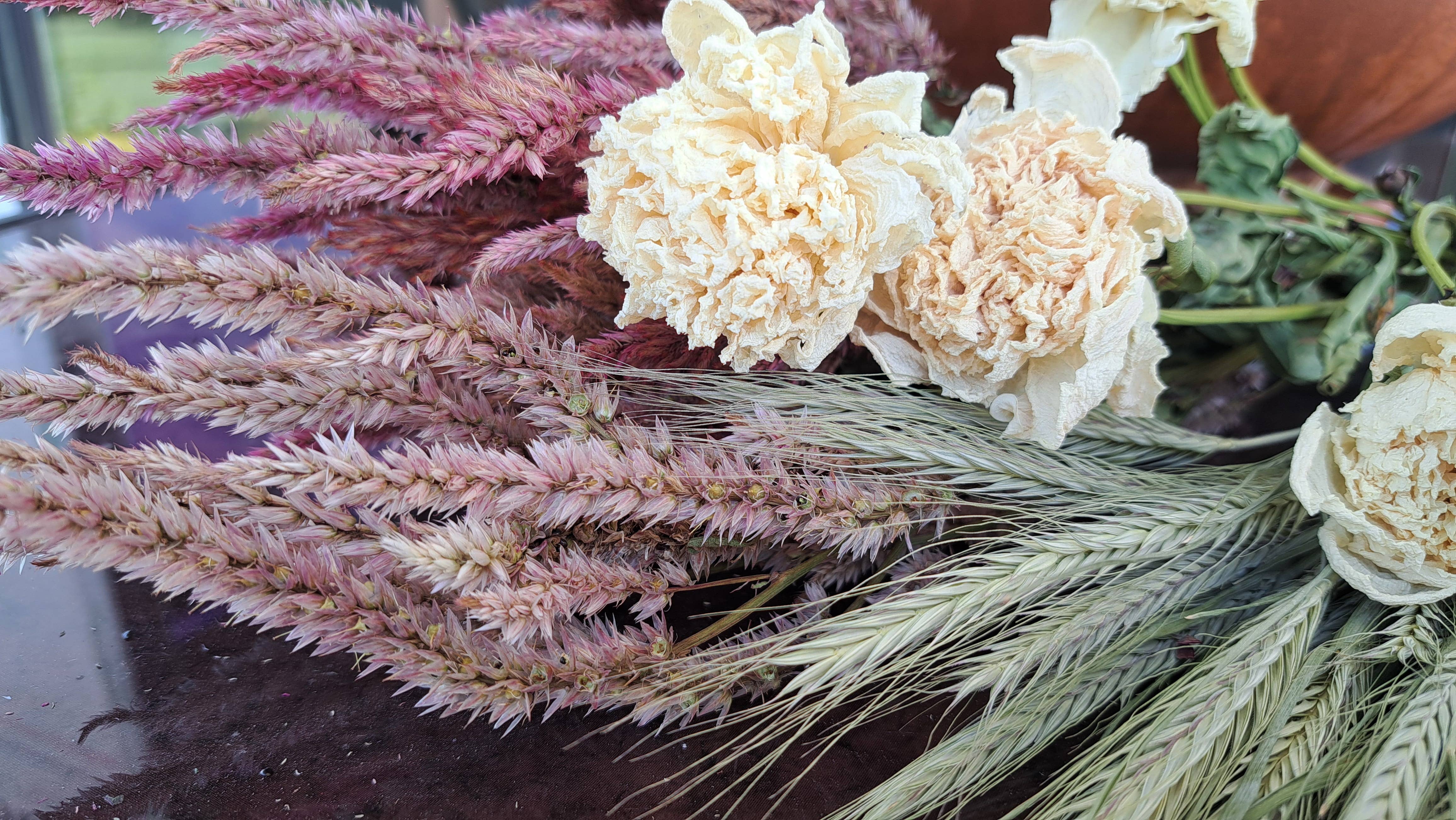 Fence Post Florals - Wholesale Dried/Pressed Flowers - Celosia-Floret3