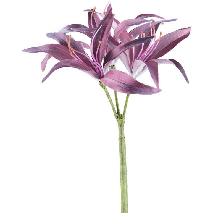 Nerine, 83 cm, amatista para venta al por mayor de GASPER GmbH