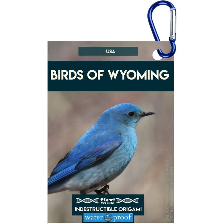 Uccelli del Wyoming-Indistruttibile Origami per la vendita all'ingrosso da parte di Flexi Field Guides