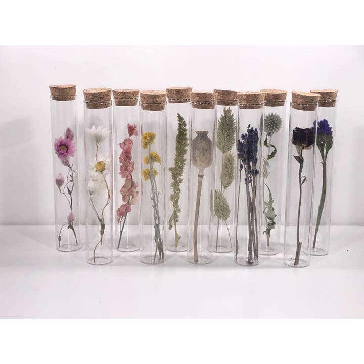 Muno - Wholesale Dried/Pressed Flowers - TUBE 15 CM WITH DRIED FLOWER - Gift