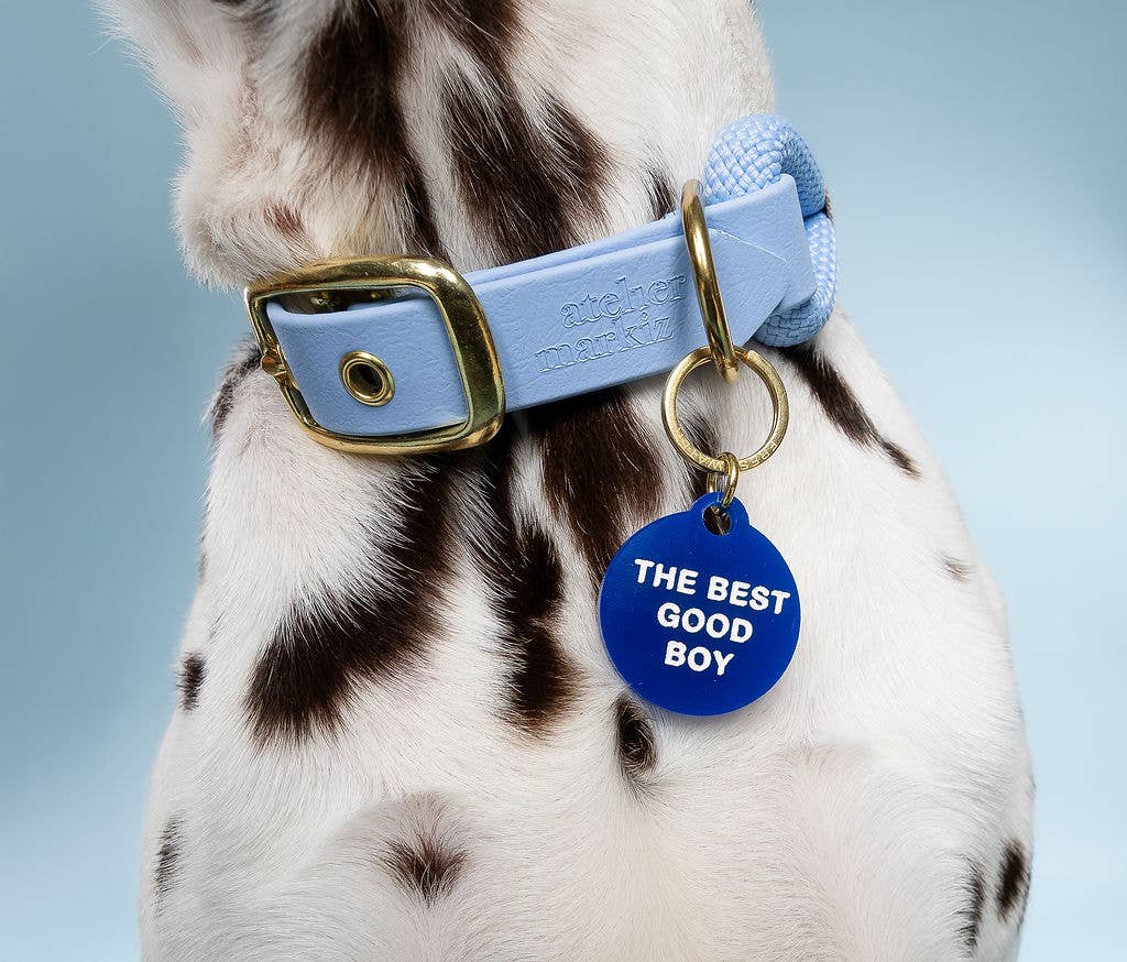 Freshwater Curated Goods - Venta al por mayor Chapa de identificación - Gatos y perros - Placa para mascota The Best Good Boy1