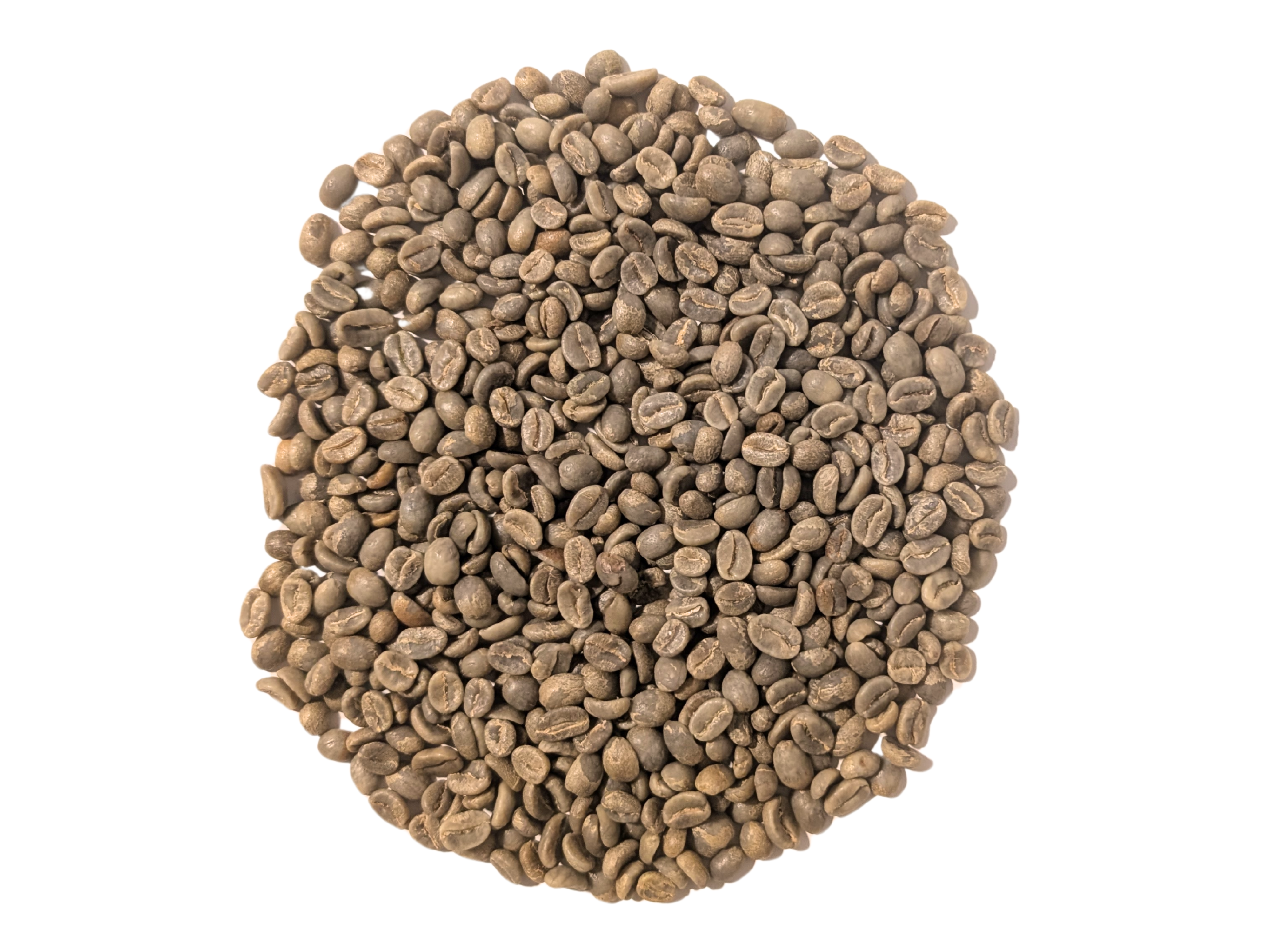 United Beans Coffee Roastery - Wholesale Coffee Beans - Green Coffee Beans | Colombia Huila1