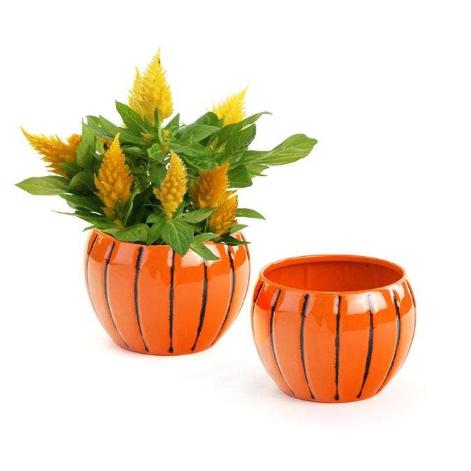 5" pumpkin Bubble Bowl and other Purchase Wholesale bubble bowls. Free Returns & Net 60 Terms on Faire trending on Faire.