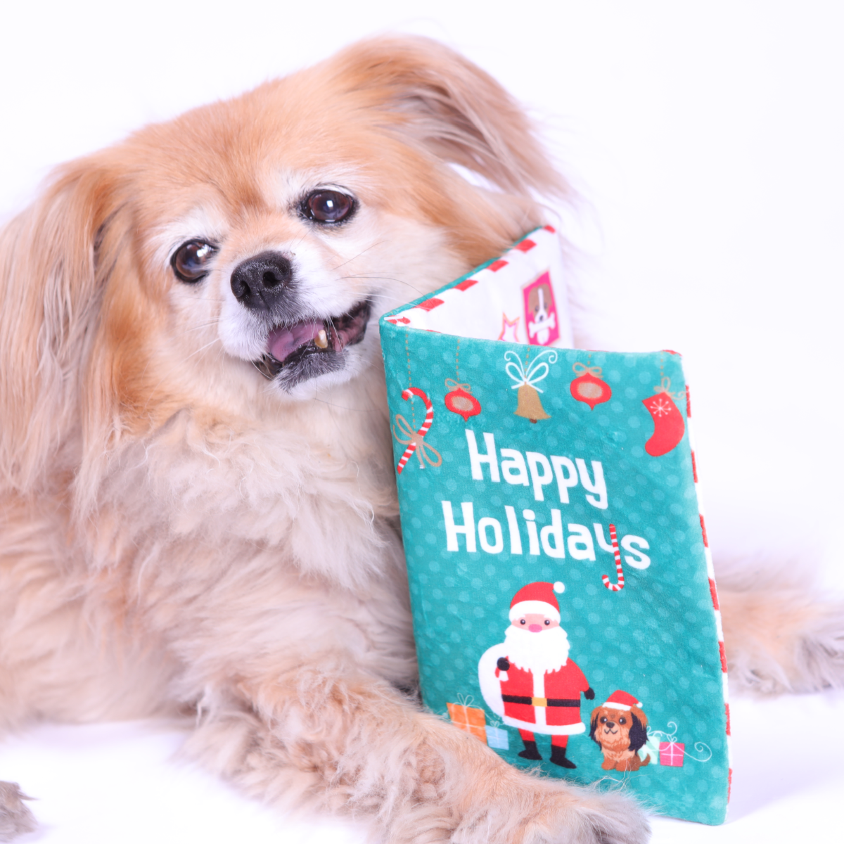 PetLondon – wholesale Pet plush toy – Dog – Dog Toy Crinkle Christmas Holiday Greeting Card6