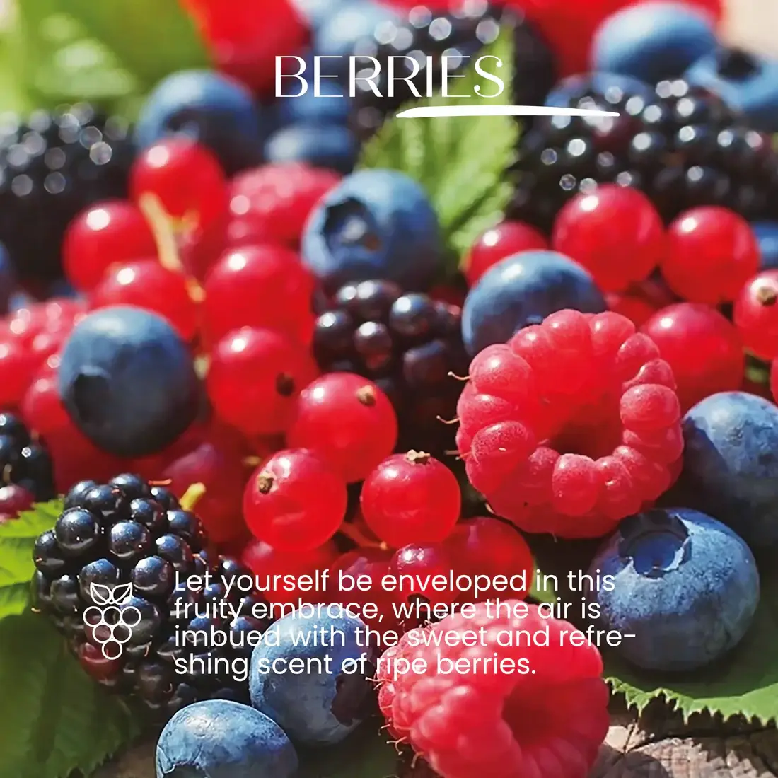 SENSO NATURALE - Wholesale Bath Bomb/Fizz - Bath Bomb Candy Berries2