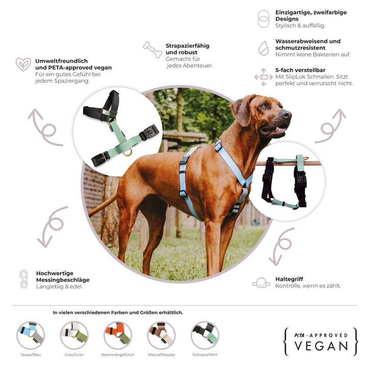 Feiling Pettorina Per Cani, Regolabile Imbracatura In Pelle, Durevole Harness Cane Taglia Piccola Media Grande Morbido Cinghia Stoviglie (M, Bianco - Foto 13