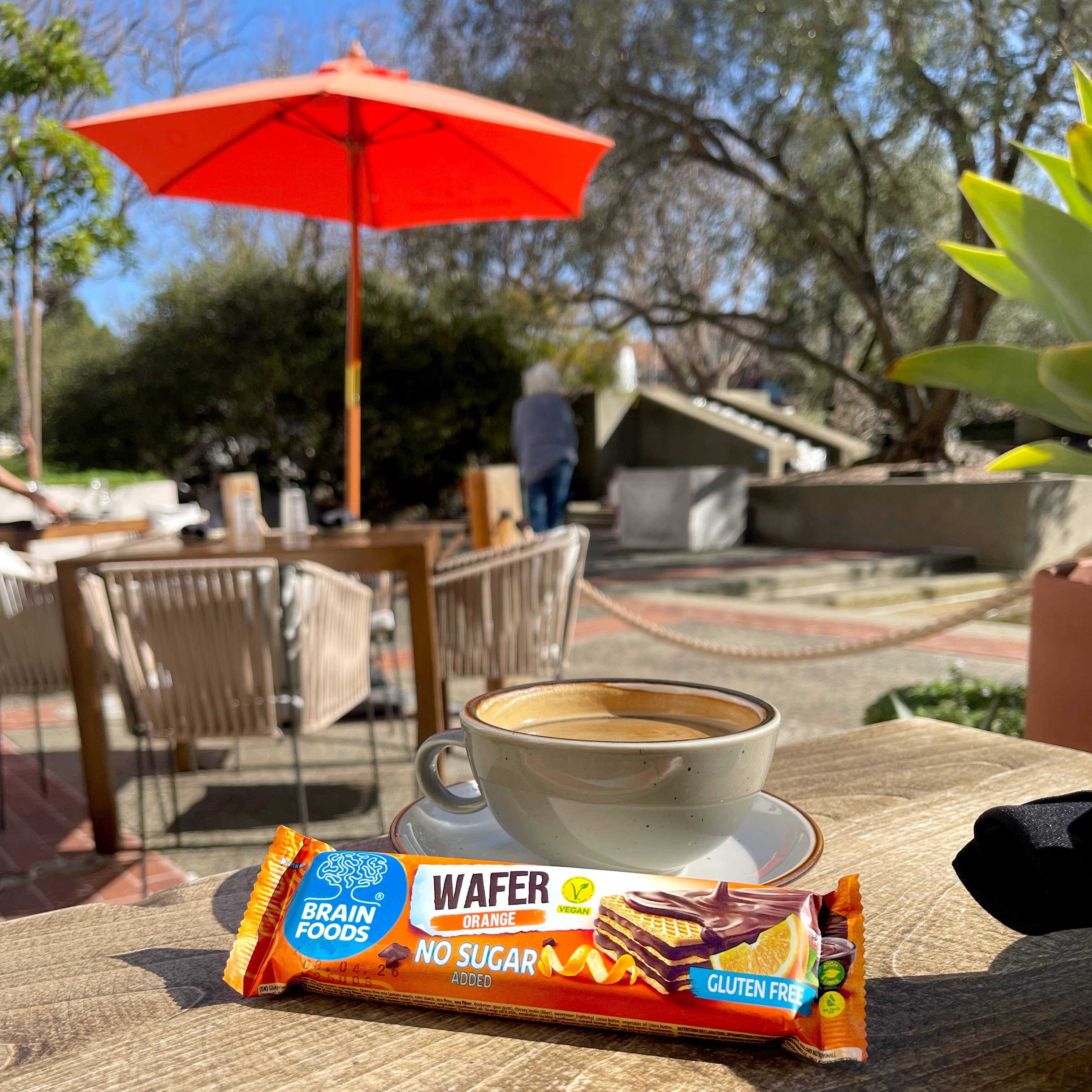 Wilton Mettler LLC - Wholesale Snack Bar - BRAIN FOODS Gluten Free Vegan Wafers (Orange & Chocolate)8