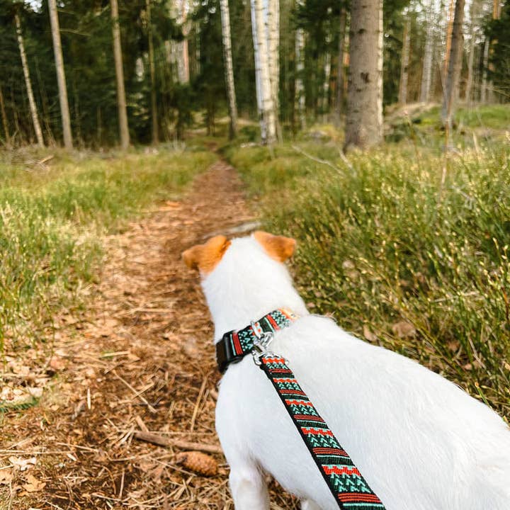 Woolly Wolf – Engroshandel Hundesnor - Hund – Woodland hundesnor i genanvendt RPET1