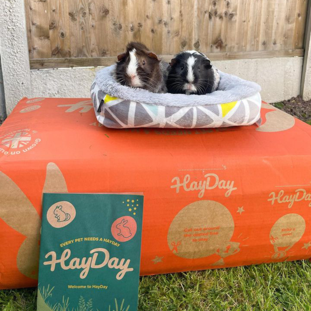 HayDay - Wholesale Pet Food - Not Cat/Dog - Tasty Timothy Hay 1kg5