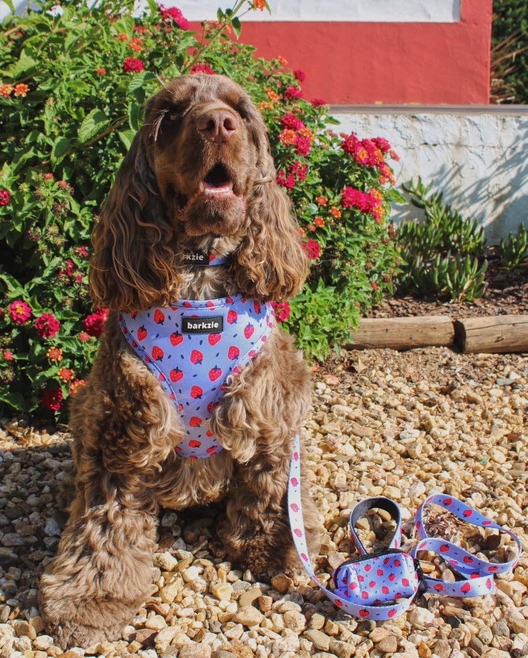 barkzie - Venta al por mayor Correa - Perros - Correa Huelva de 1,50 m para perro6