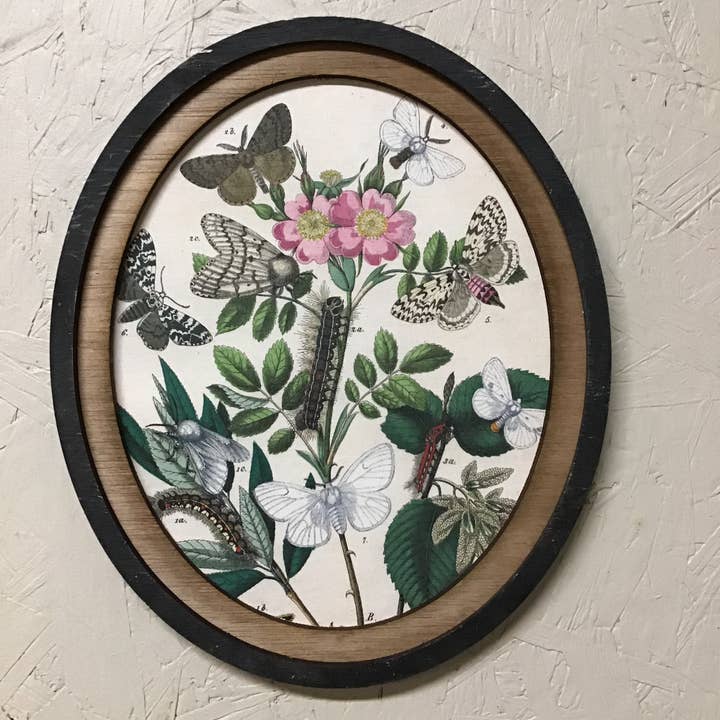 LAND OF COTTON - Wholesale Gallery Wall Set - Set of 3 Oval Framed Butterfly Prints
