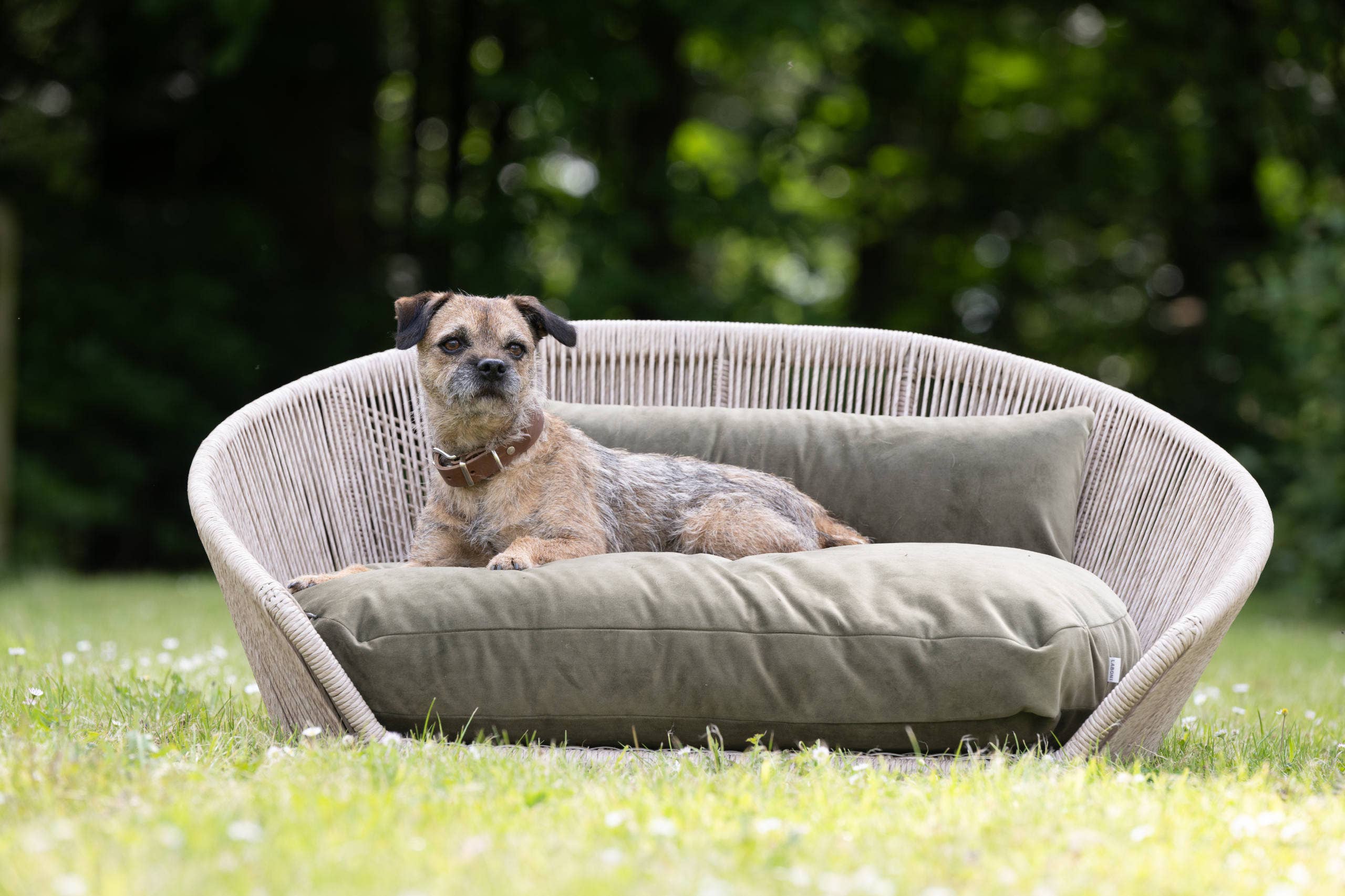 LABONI - Volentis GmbH - Vente Collier – chien - Collier pour chien GIRO en cuir souple à prise ferme5