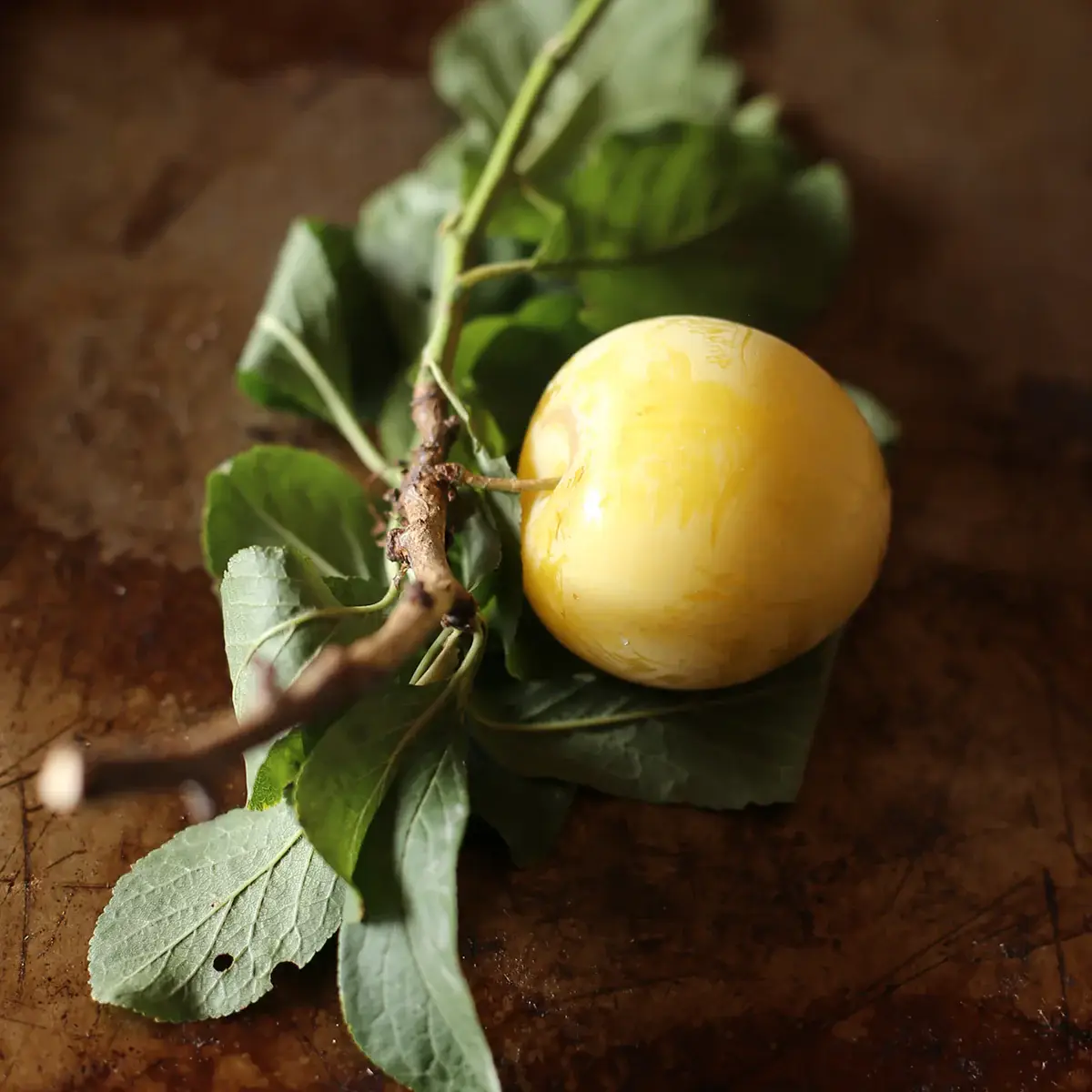 Girl Meets Dirt - Wholesale Preserves - Shiro Plum with Mint 7.75oz3