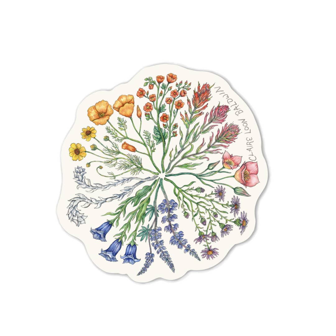Claire Loon Baldwin Illustration - Wholesale Sticker - Wildflower Color Wheel Sticker