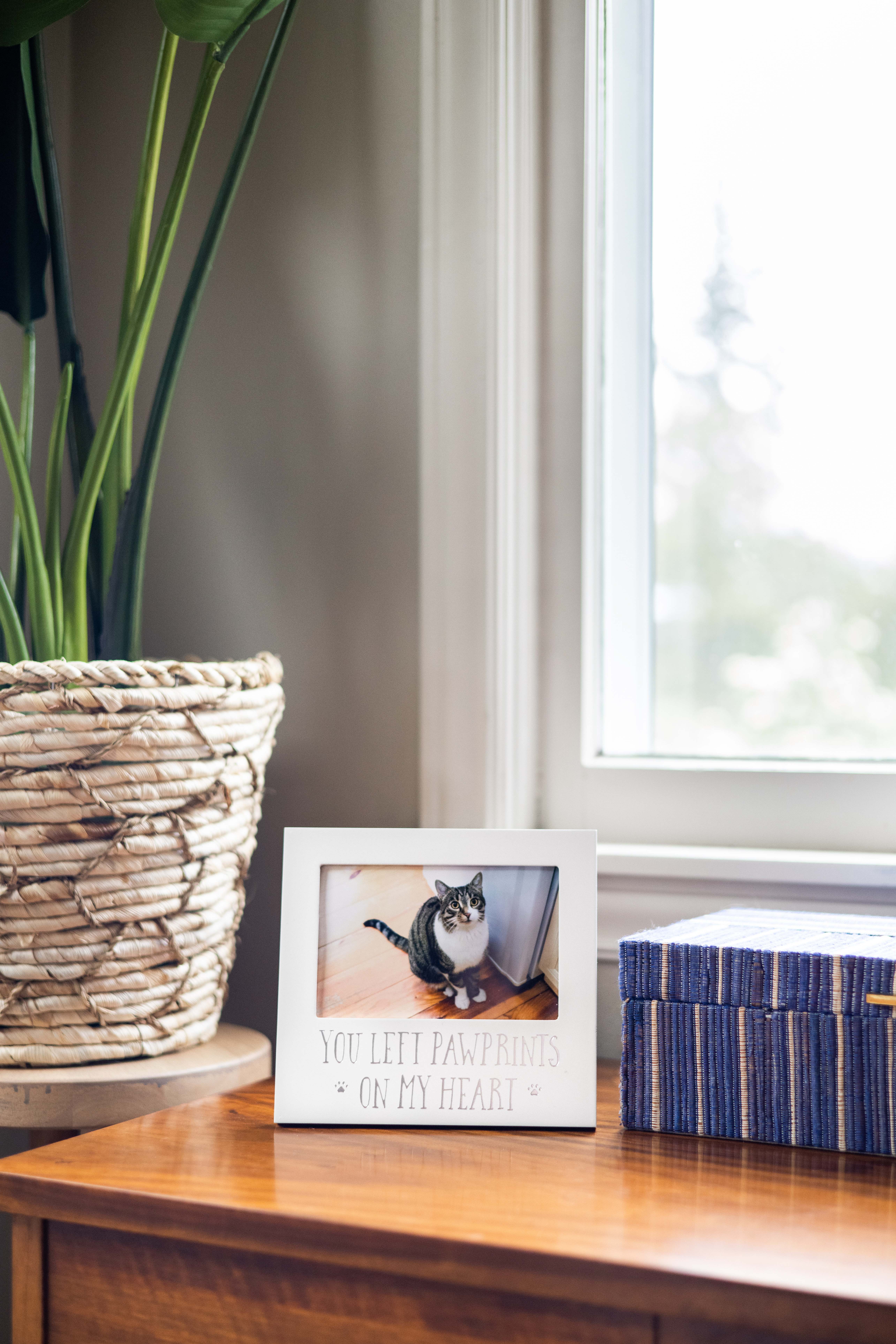 Pearhead - Wholesale Picture Frame - You Left Pawprints On My Heart Sentiment Frame3