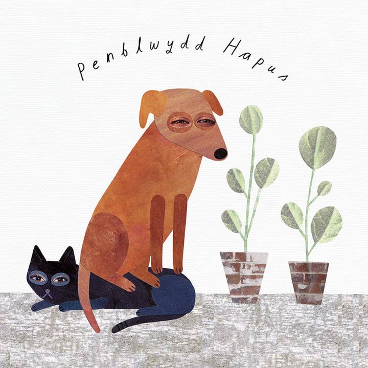 Paperwhale Cards & Paper Goods - Wholesale Birthday Card - Birthday Dog Welsh Card2