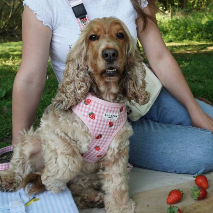 Cocopup London - Wholesale Pet Harness - Dog - Strawberry Picnic Pup Adjustable Neck HARNESS13