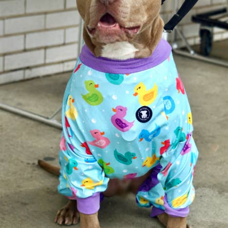 Pittie Clothing Co. - Wholesale Pet Pajamas - Dog - Purple 'So Ducking Cute' Pit bull Pajamas