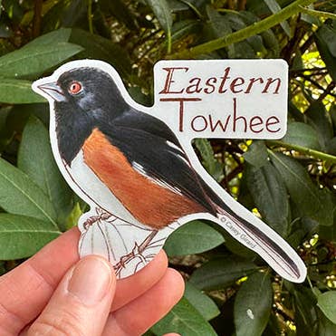 Eastern Towhee - Vinyl Sticker for wholesale by River Thrush Studio