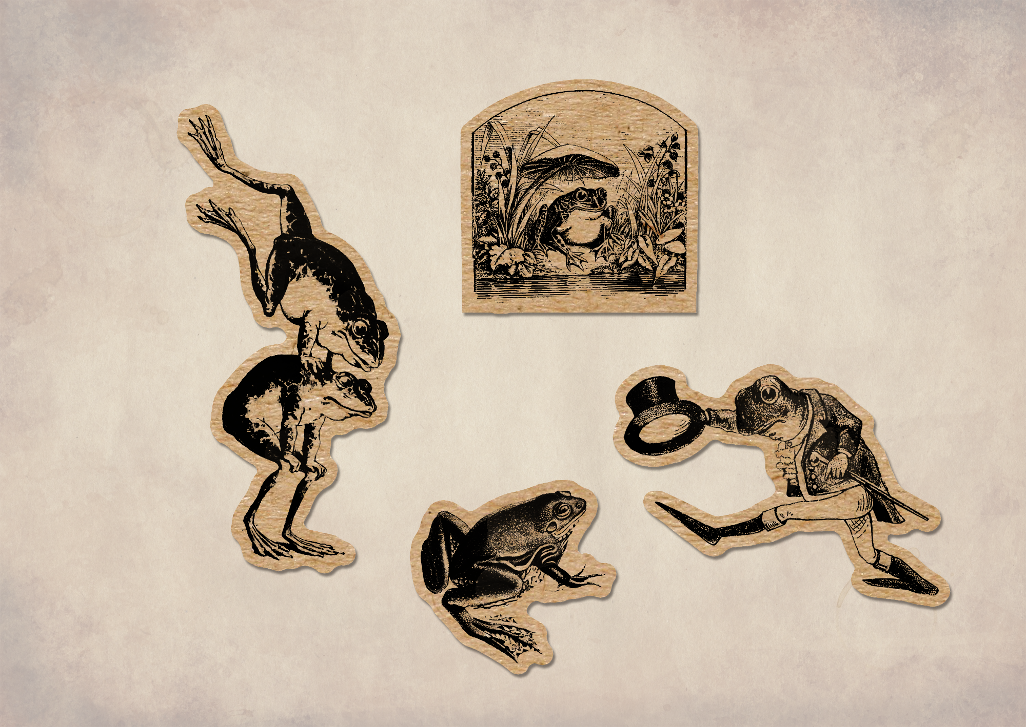 BoyPilot Goods - Wholesale Sticker - Vintage Frogs Sticker Sheet - Cute Cottagecore Antique Frog5