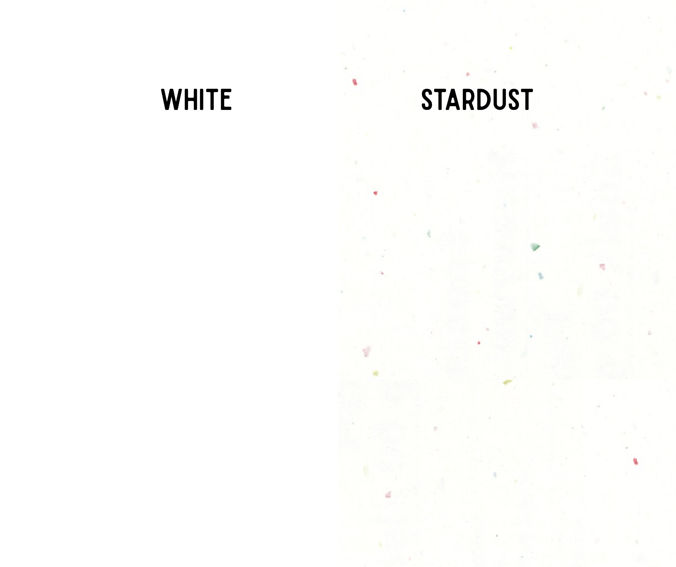 Bitter Ink Studio - Wholesale Get Well Card - Get Well - Endless Chaos2