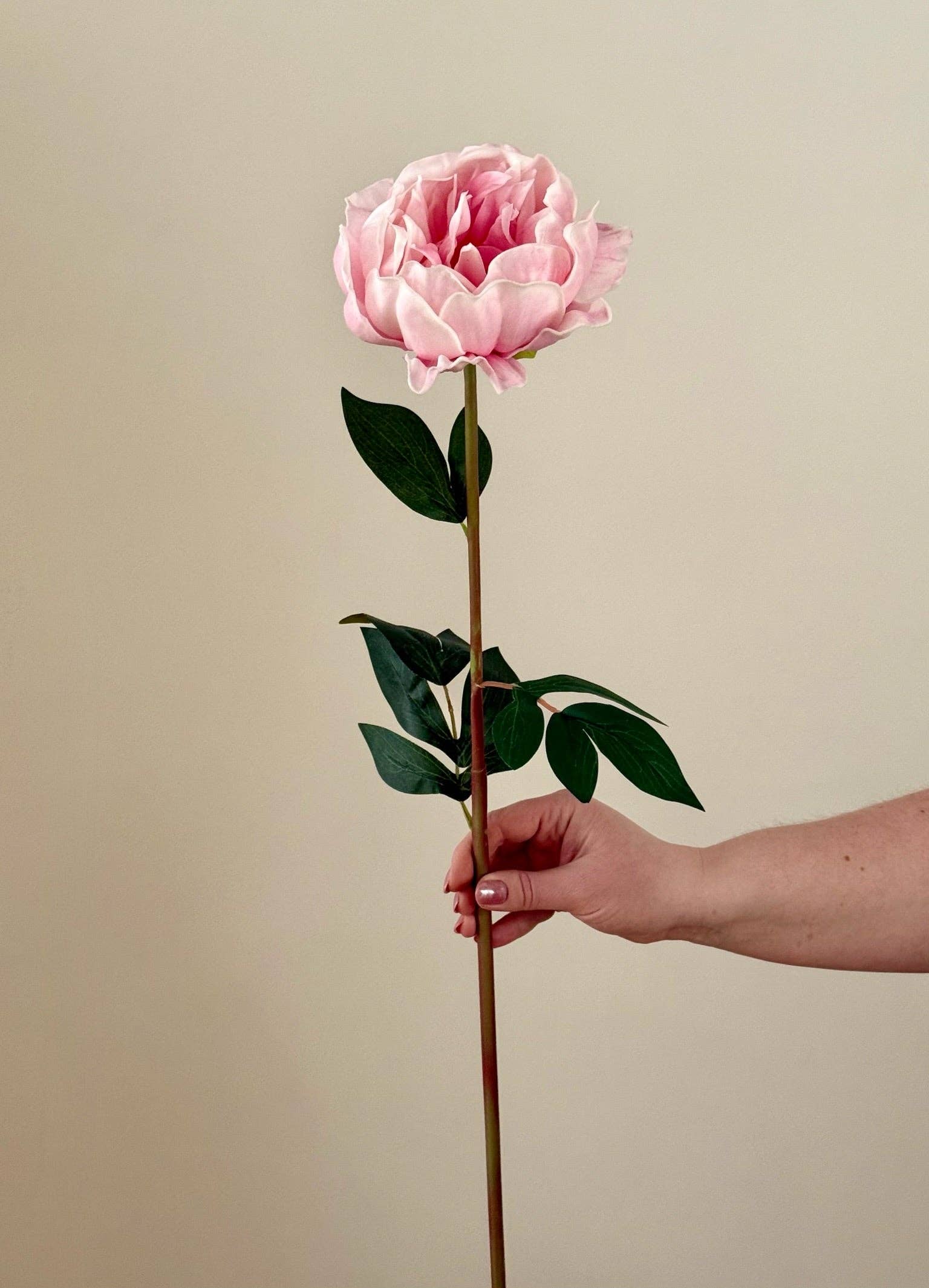 Eucalypt Co. - Wholesale Artificial Flowers - Real Touch Large Peony0
