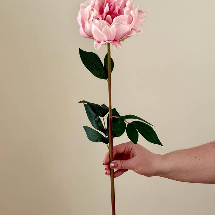 Eucalypt Co. - Wholesale Artificial Flowers - Real Touch Large Peony
