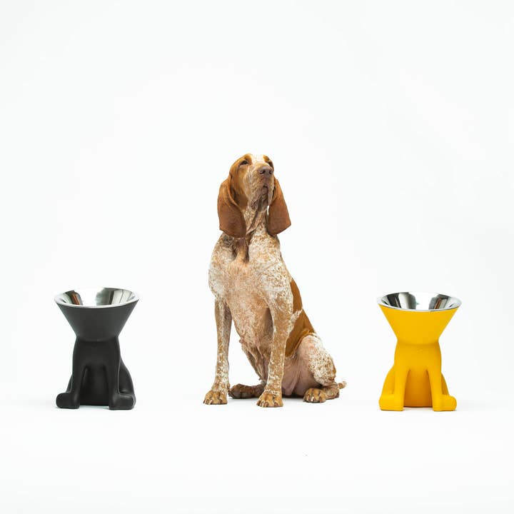 United Pets – tigela - Gato e cão por atacado – Elizabeth: taça elevada para cães30