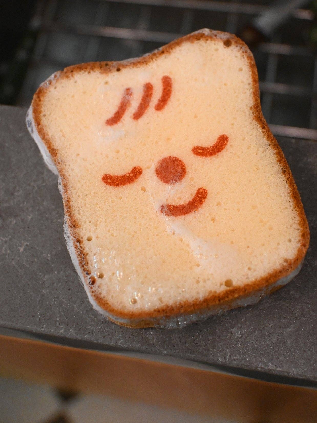 Natali Koromoto - Wholesale Cleaning Sponge - "Poundcake/ Ponqué" Cleaning Sponge4