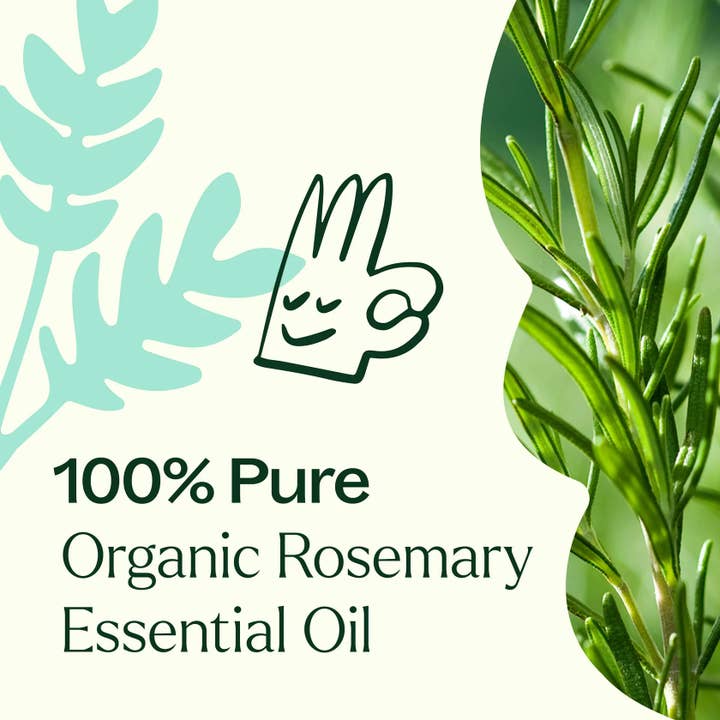 Plant Therapy - Wholesale Essential Oil - Organic Rosemary 1,8-Cineole Essential Oil 100 mL5