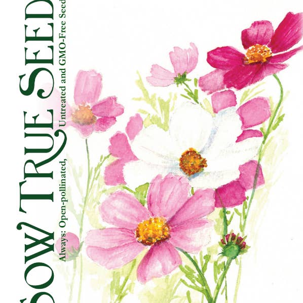 Sow True Seed - Wholesale Plant Seeds - Cosmos Seeds - Sensation Mix1