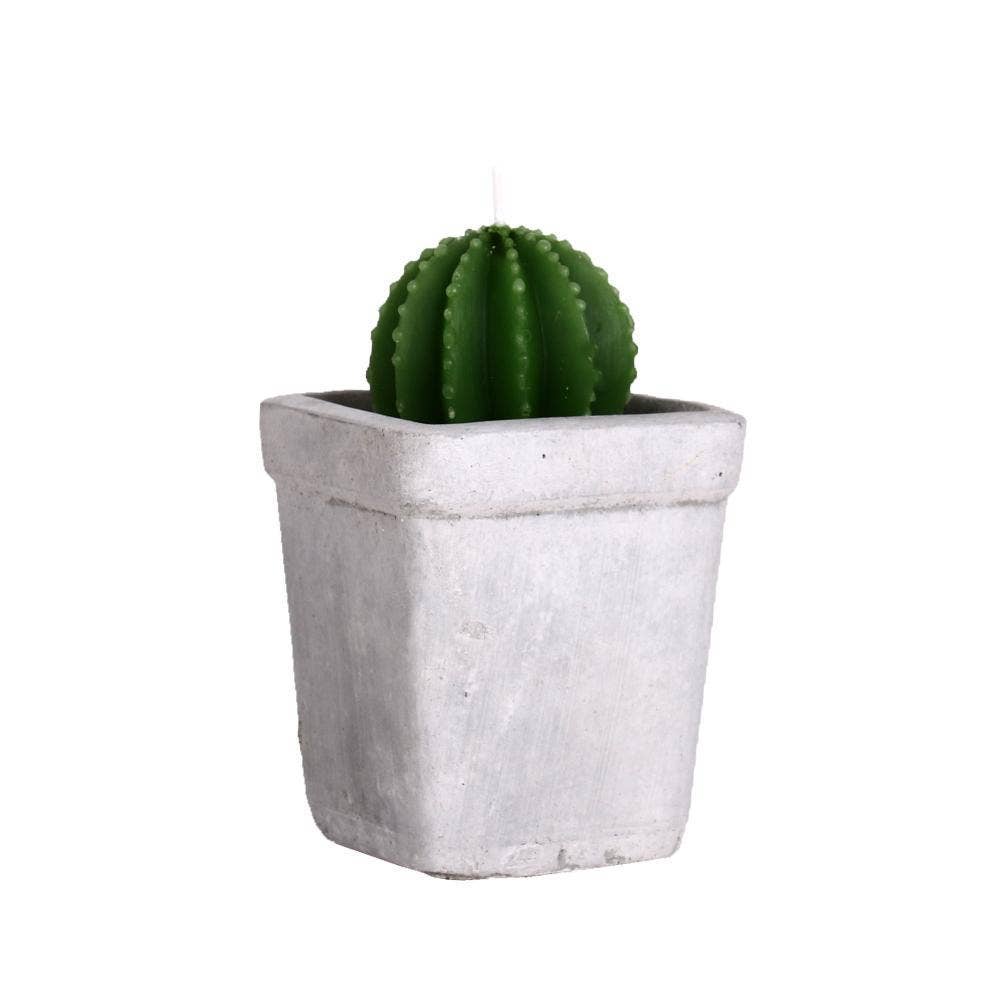 Helio Ferretti Candles & Co. - Wholesale Novelty Candle - CACTUS CEMENT CANDLES HF2